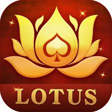 teen patti real cash apk download download
